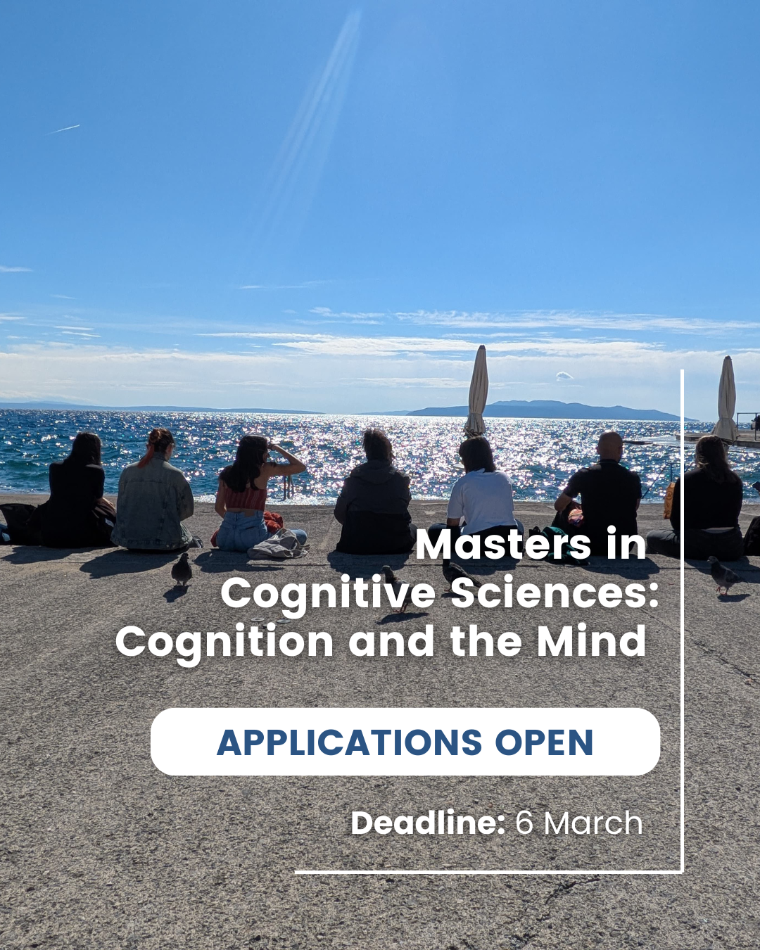 First Call for Applications for the MSc in Cognitive Sciences: Cognition and the Mind